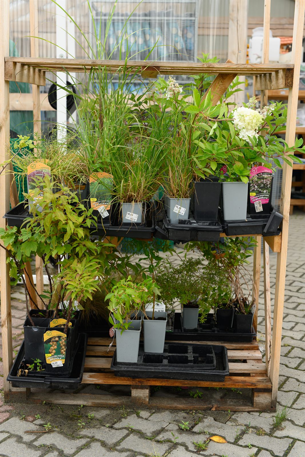 Skład budowlany Omega — Dobra — zdjęcie 37