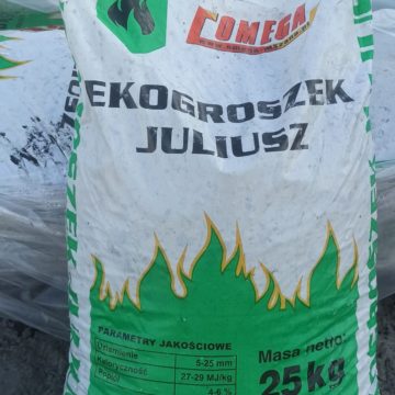 481235075_520424204424008_5579115777973976692_n